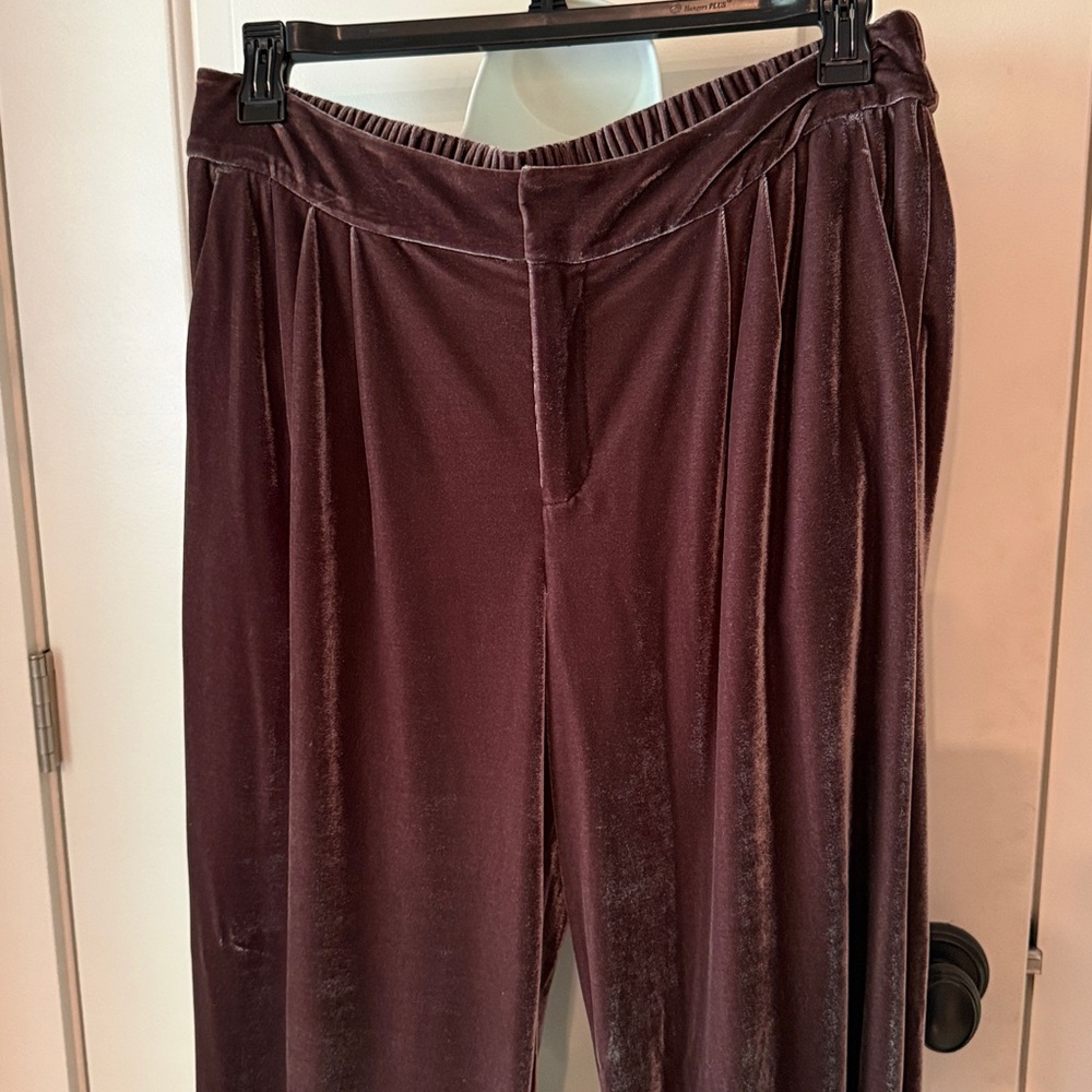 a new day Woman’s Velvet Joggers - Deep Brown w/hint of purple.